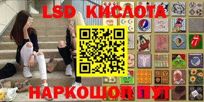 индика Заводоуковск