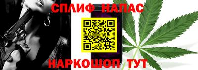 индика Заводоуковск