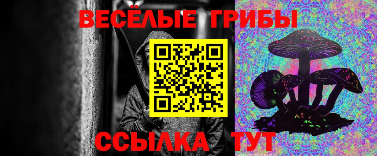 Стерлитамак  Псилоцибиновые грибы MAGIC MUSHROOMS  Вход с VPN 